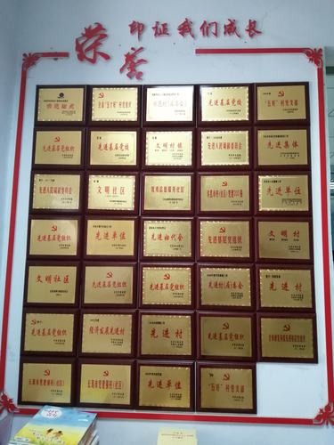 许昌乡村全科报名条件有哪些具体要求?-图1 许昌乡村全科报名条件有哪些具体要求?-图1