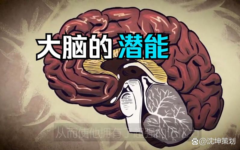 聋生空间思维如何有效培养？-图2