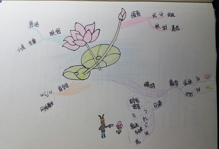荷花思维导图怎么画？语文要点有哪些？-图1