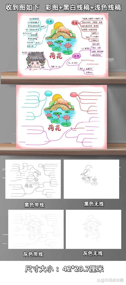 荷花思维导图怎么画？语文要点有哪些？-图2