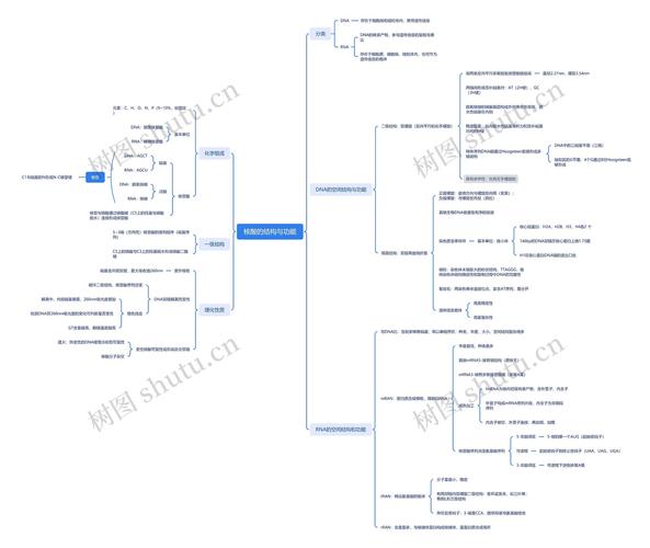 核酸的思维导图,核心逻辑是什么?-图1 核酸的思维导图,核心逻辑是什么?-图1