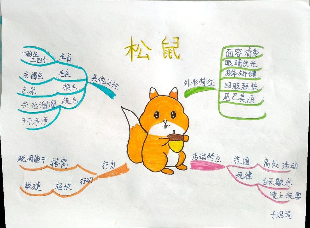 如何用简单创意画好思维导图?-图1 如何用简单创意画好思维导图?-图1