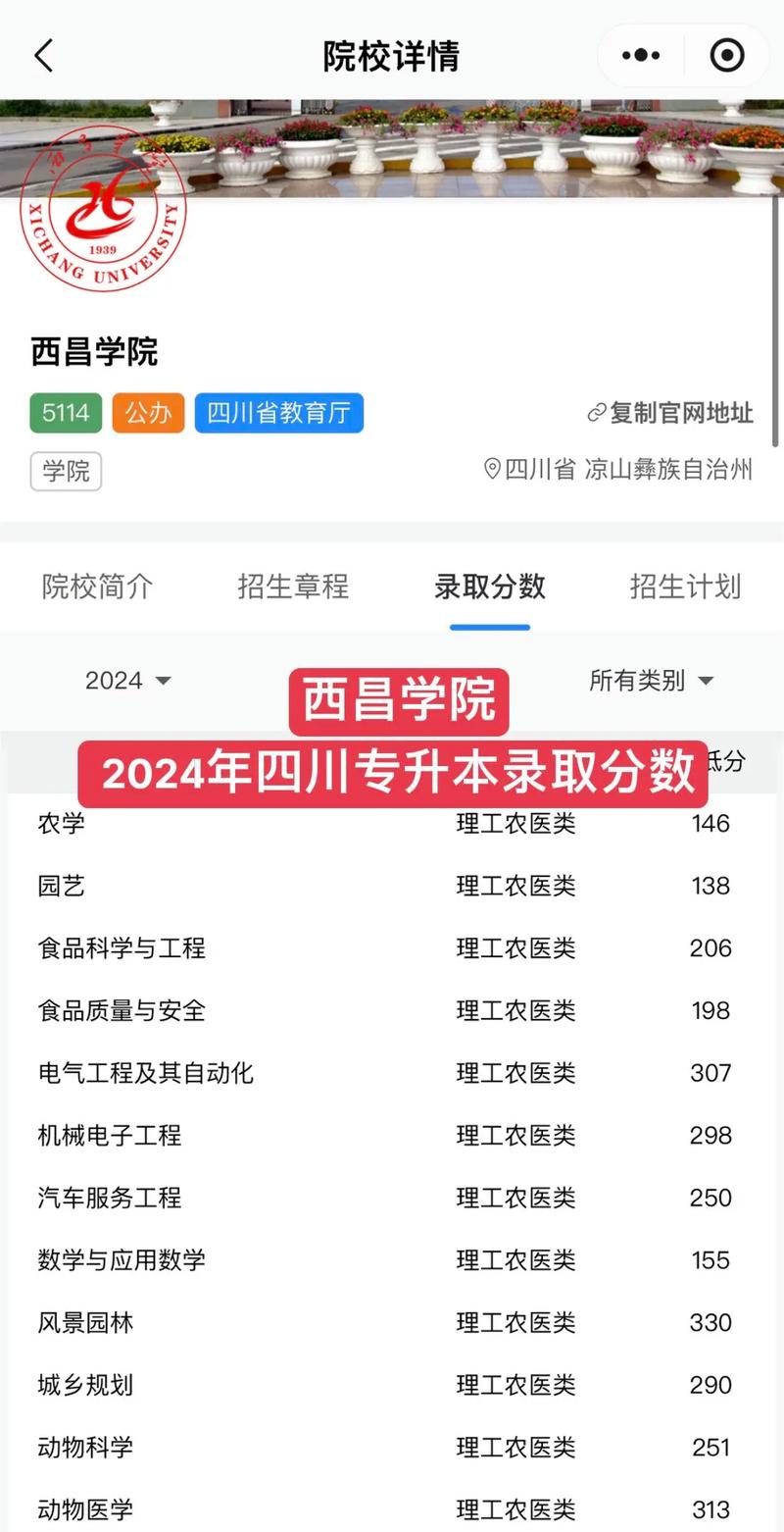西昌学院多少分录取-图2